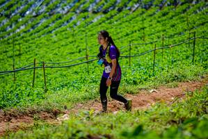 BIB: 
                            <button type="button" onclick="openModal(19164295)" class="btn btn-primary btn-sm float-right btn-popup" data-toggle="modal" data-target=".modal-high-quality">
                        <i class="fas fa-shopping-cart"></i> Add to Cart
                    </button>
                                            <button type="button" onclick="isThisMe(19164295, true)" class="btn btn-success btn-sm float-right btn-popup btn-isme hidden" data-toggle="tooltip" data-placement="bottom" title="นี่คือรูปของคุณใช่ไหม คลิกที่นี่เพื่อเอาเข้าอัลบั้ม">
                        <i class="fas fa-plus"></i> Add to album
                    </button>
                    <button type="button" onclick="isThisMe(19164295, false)" class="btn btn-warning btn-sm float-right btn-popup btn-isnotme hidden">
                        <i class="fas fa-ban"></i> Remove from album
                    </button>